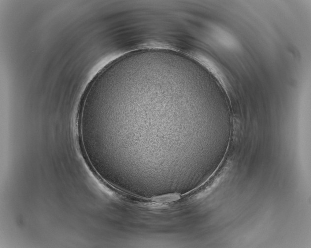 X0000112811141200909041448