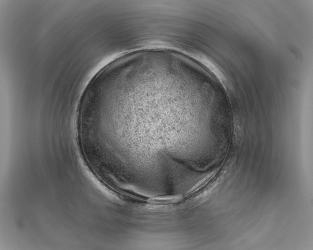 X0000112811142200909041448