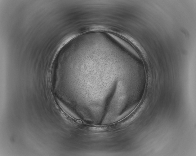 X0000112811145200909041448