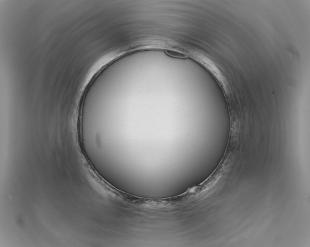X0000112811146200909041448