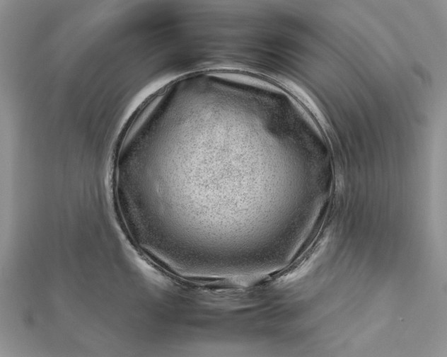 X0000112811149200909041449