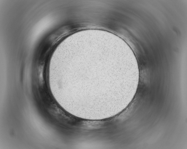 X0000112811150200909041449