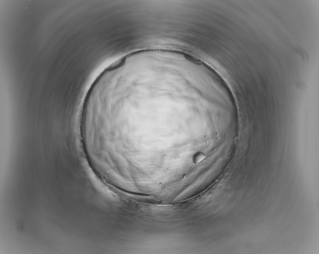 X0000112811152200909041449