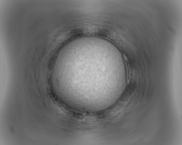 X0000112811153200909041448