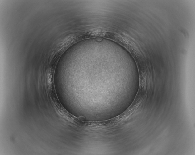 X0000112811154200909041448