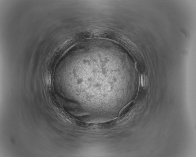 X0000112811155200909041448