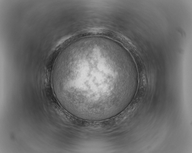 X0000112811158200909041448