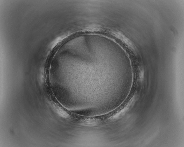 X0000112811160200909041448