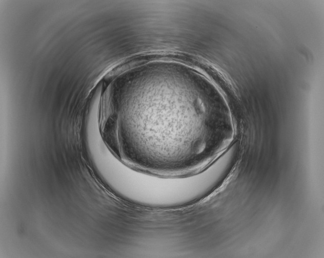 X0000112811162200909041448