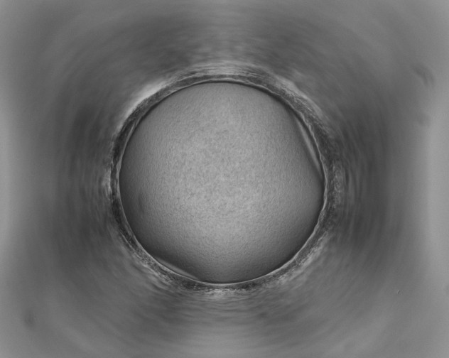 X0000112811166200909041448
