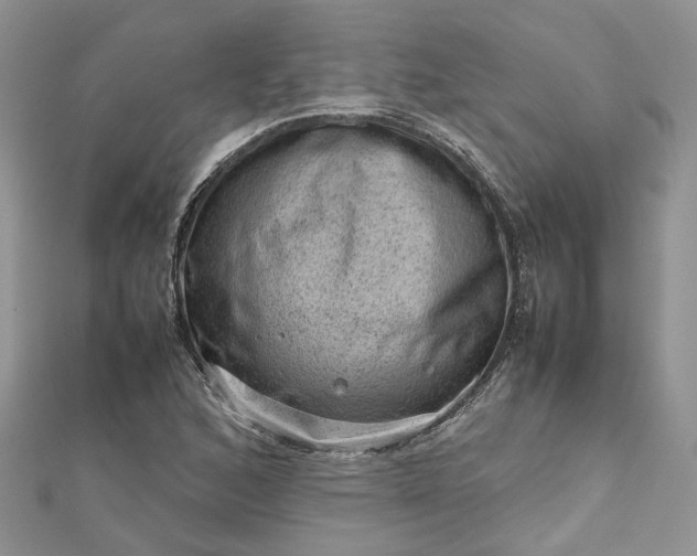 X0000112811168200909041448