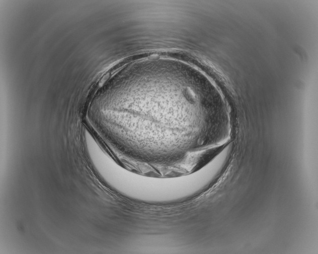 X0000112811169200909041448