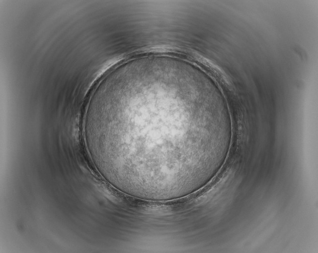 X0000112811170200909041448