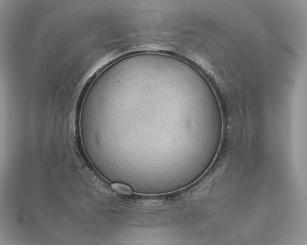 X0000112811173200909041448