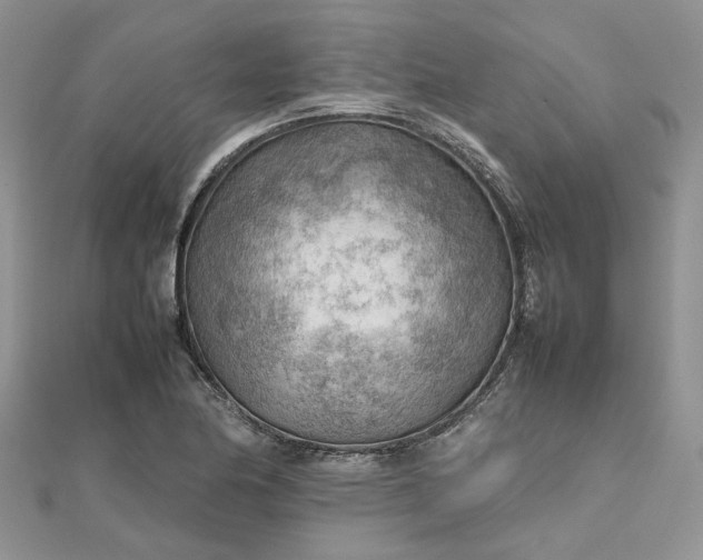 X0000112811174200909041448
