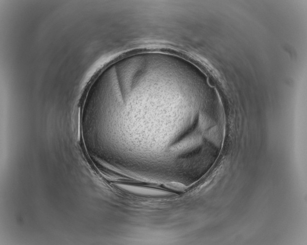 X0000112811175200909041448