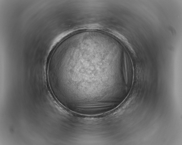X0000112811176200909041448