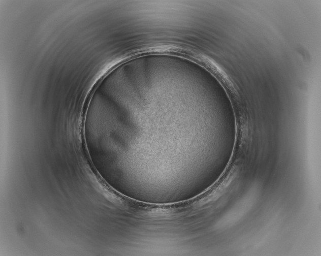X0000112811178200909041448
