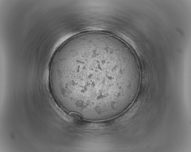 X0000112811179200909041448