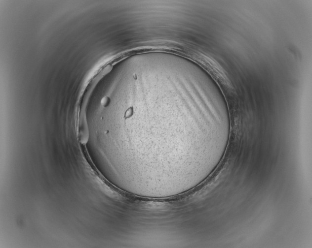 X0000112811180200909041448