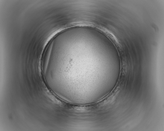 X0000112811182200909041447