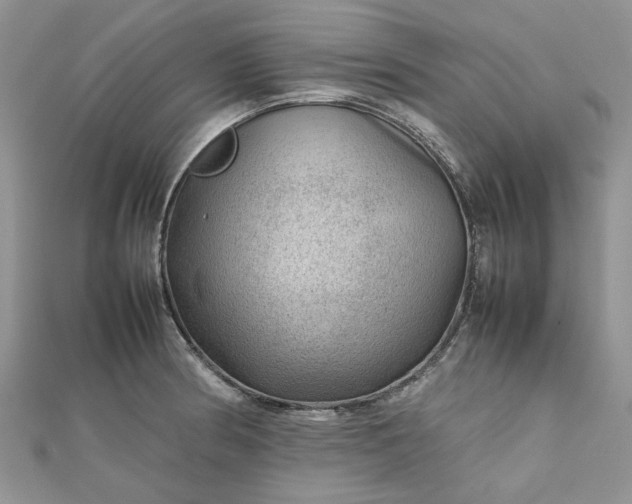 X0000112811186200909041447