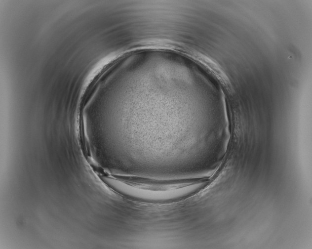 X0000112811188200909041447