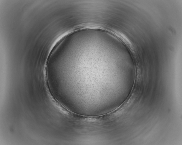 X0000112811190200909041447