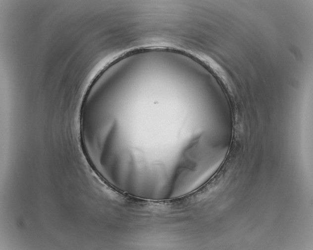 X0000112811191200909041447