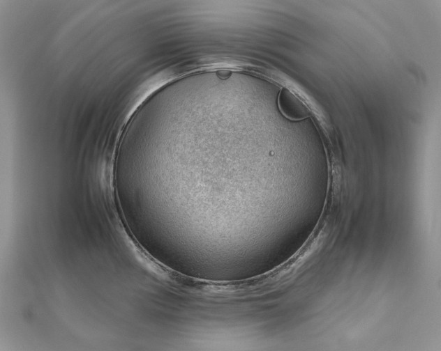 X0000112811194200909041447