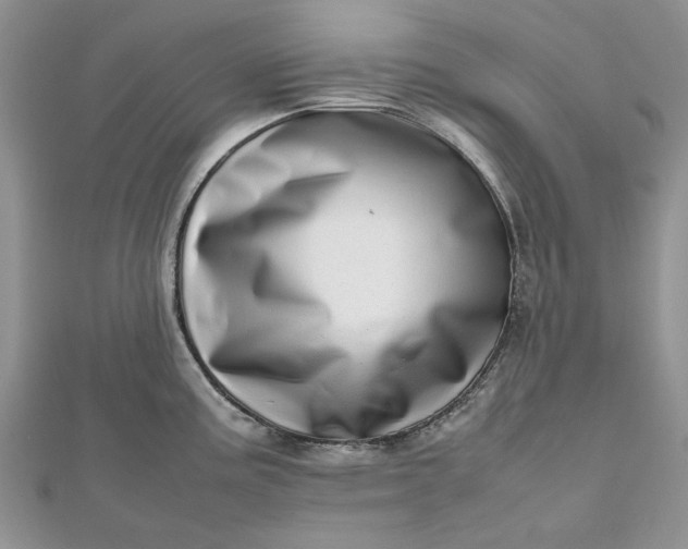 X0000112811195200909041447