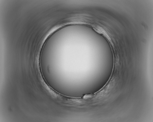 X0000112811197200909041447