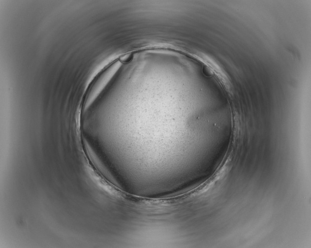 X0000112811198200909041447