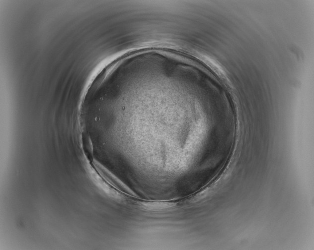 X0000112811200200909041447