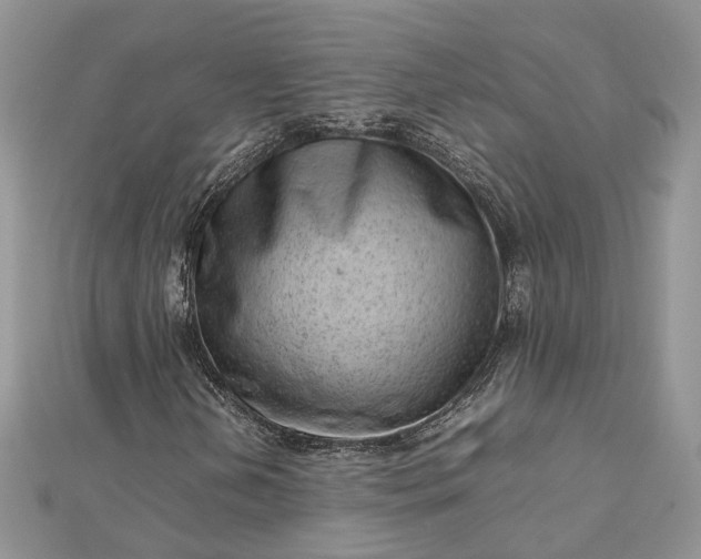X0000112811202200909041447