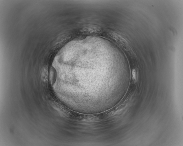 X0000112811203200909041447