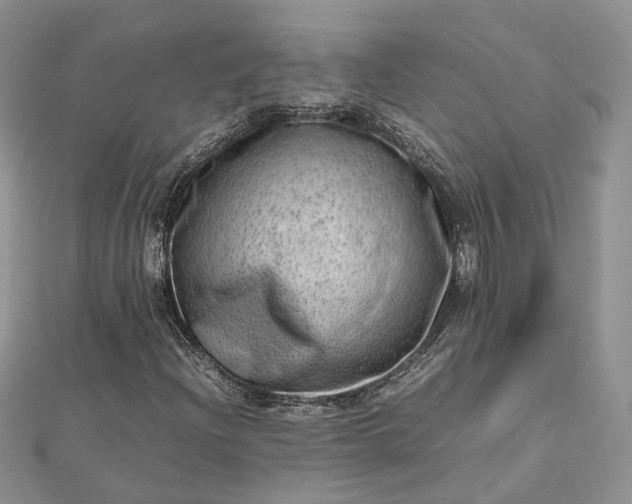 X0000112811204200909041447