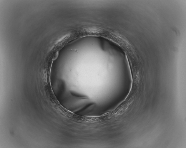 X0000112811205200909041447