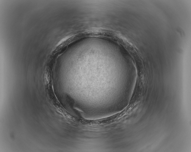 X0000112811206200909041447