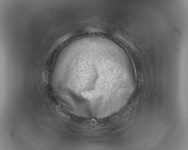 X0000112811207200909041447
