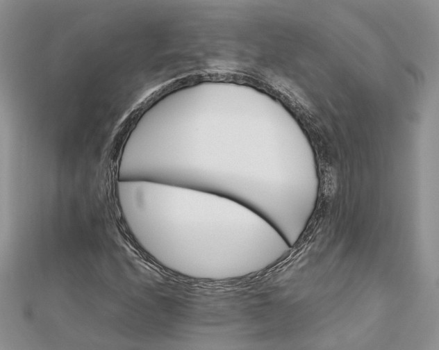 X0000112811208200909041447