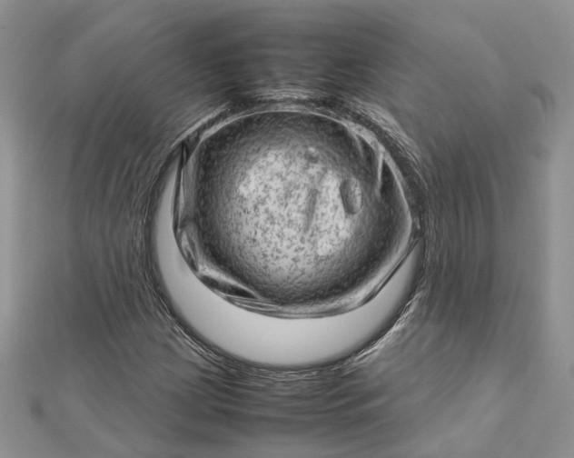 X0000112811209200909041447