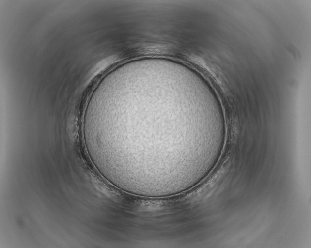 X0000112811211200909041447