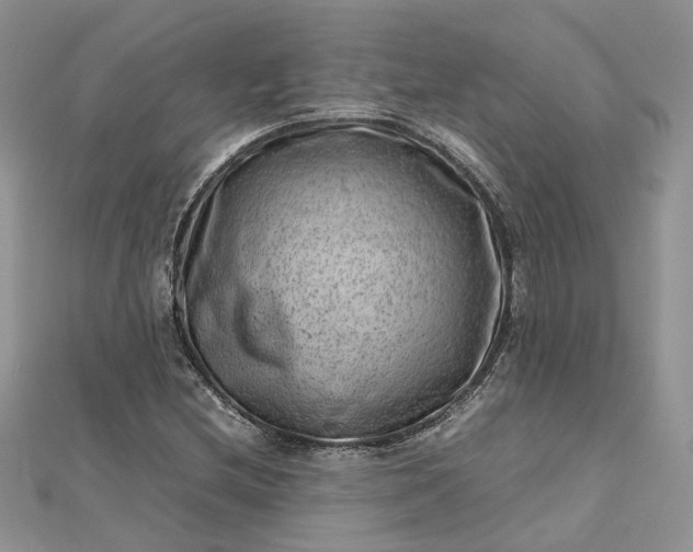 X0000112811212200909041447