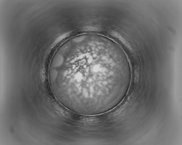 X0000112811213200909041447