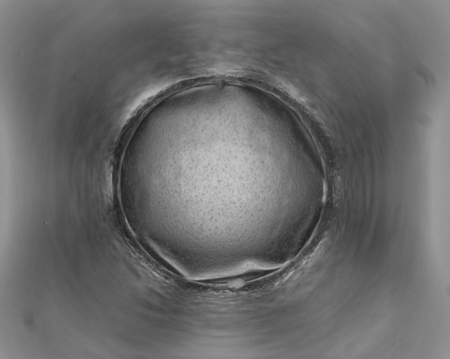 X0000112811214200909041447