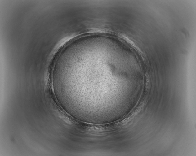 X0000112811215200909041447