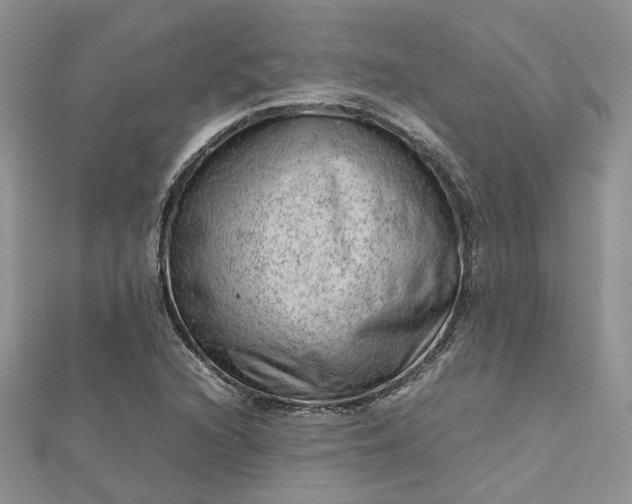 X0000112811216200909041447