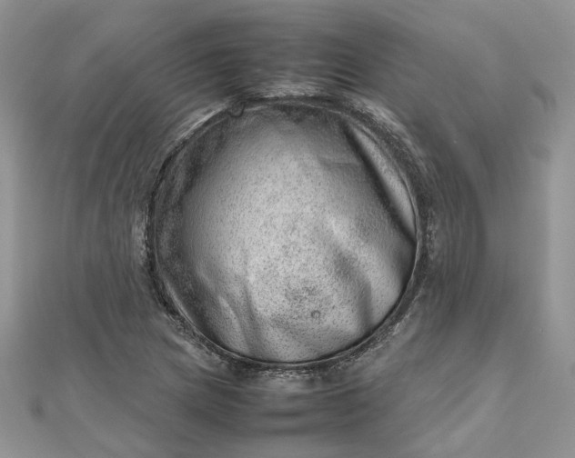 X0000112811217200909041447