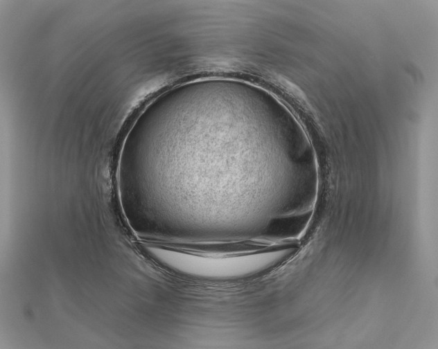 X0000112811218200909041447
